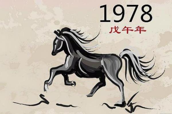 1978年出生的人命运解